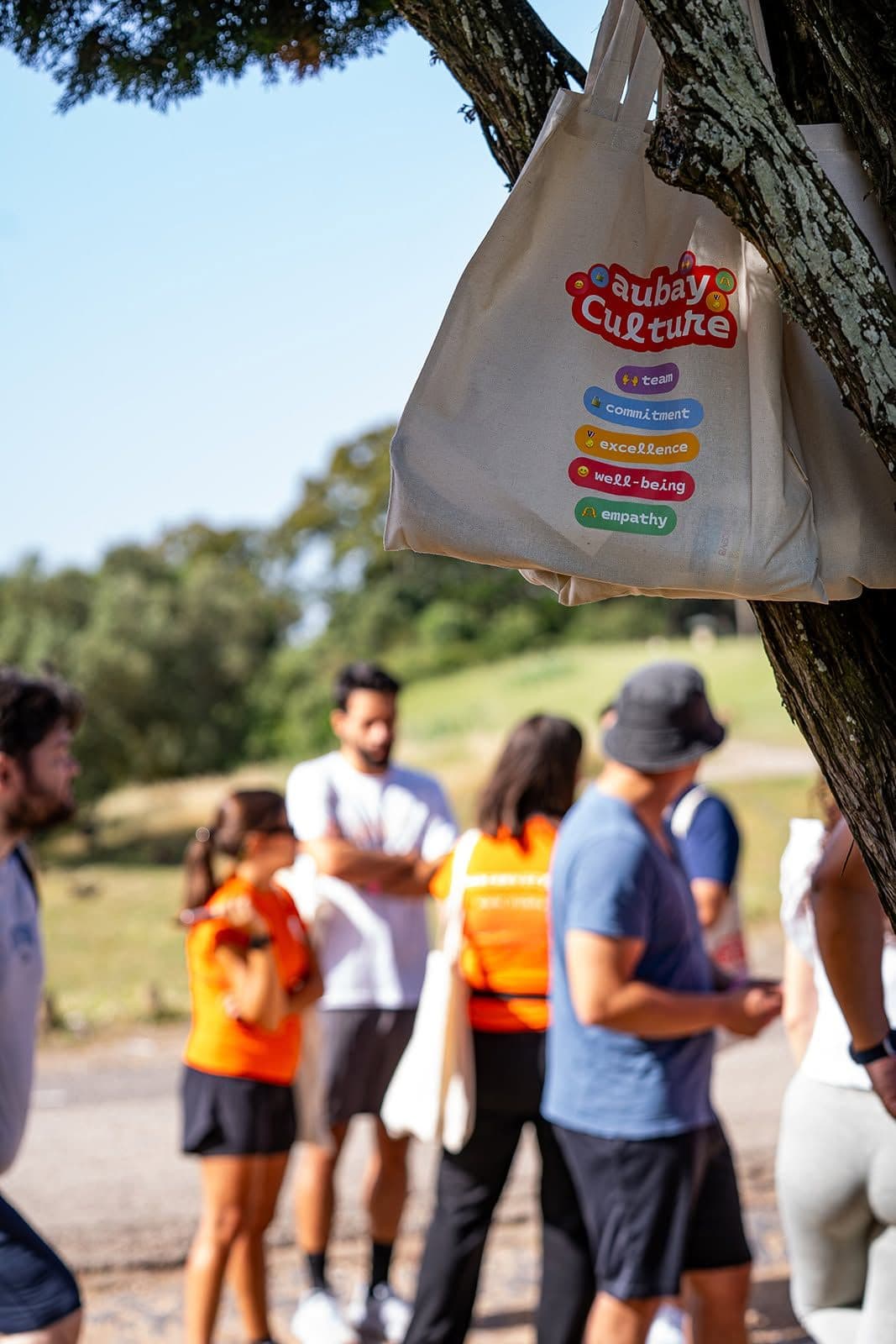 Aubay Portugal reconhecida como Top Employer 2026